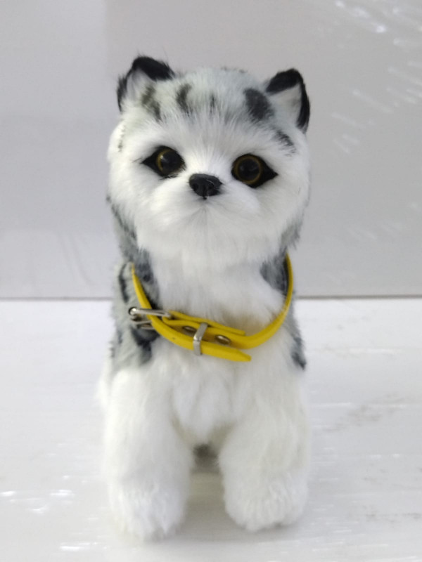 CAT DOLL 3.5B
